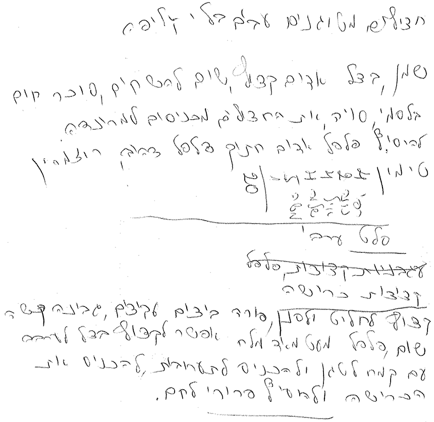 חצילים מטוגנים,קציצות כרישה וסלט ערבי