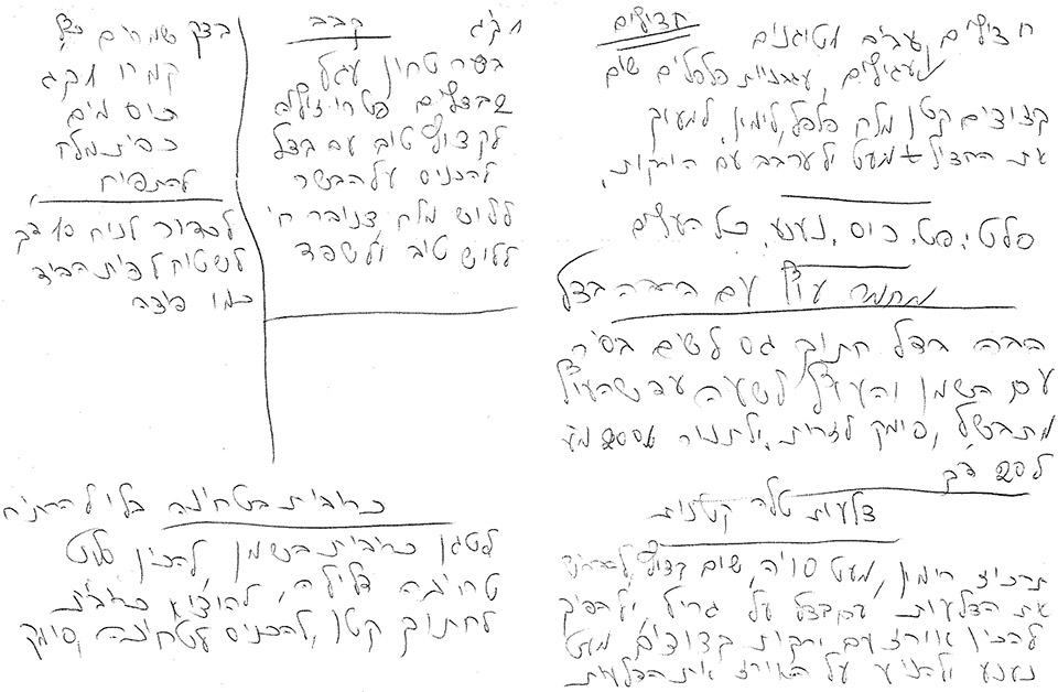 חצילים,סלט,מחמר עוף,צלעות טלה קטנות,קבב,כרובית בטחינה,בצק שמרים